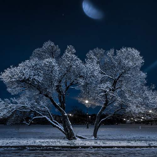 Photo #13007942