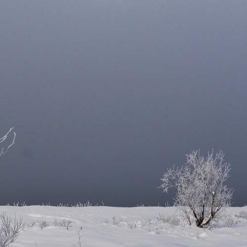 Photo #13007961
