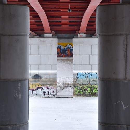 Фотография #13008045