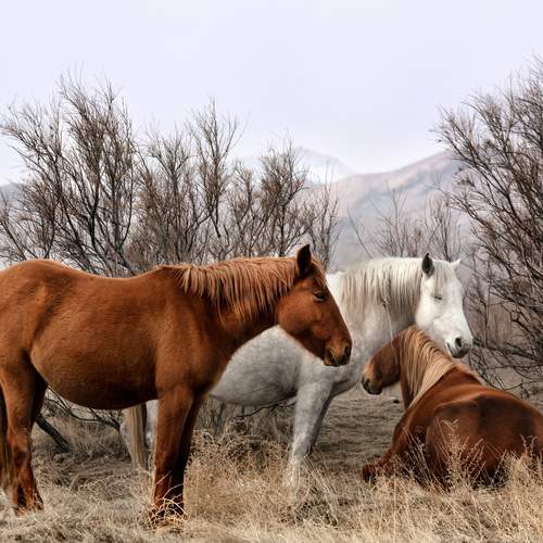 Photo #13008192