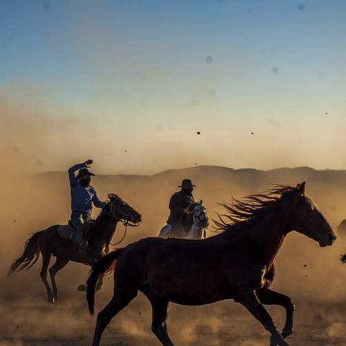 Фотография #13008200