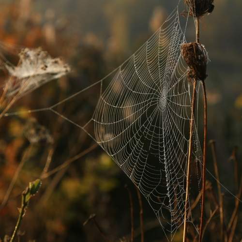 Photo #13008215