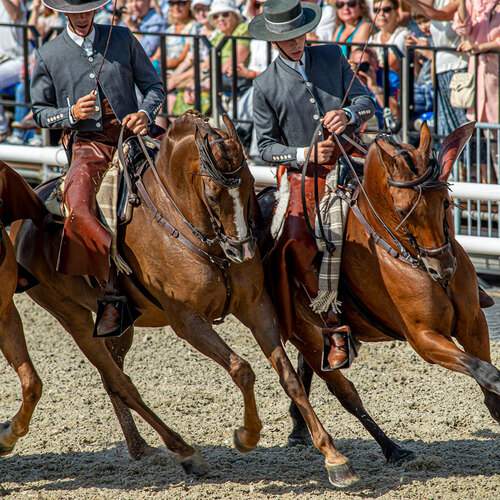 Фотография #13008542