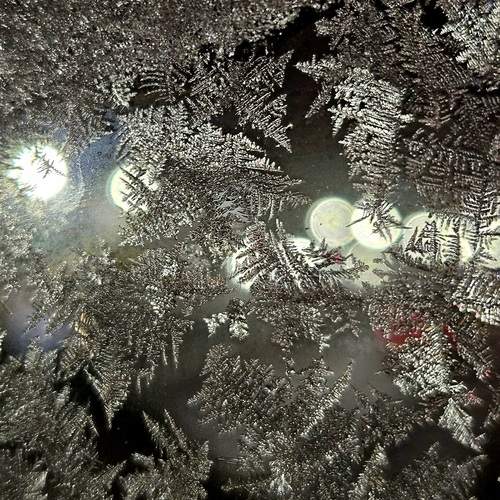 Photo #13008722