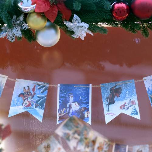 Photo #13008771
