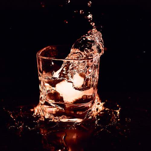 Photo #13008955