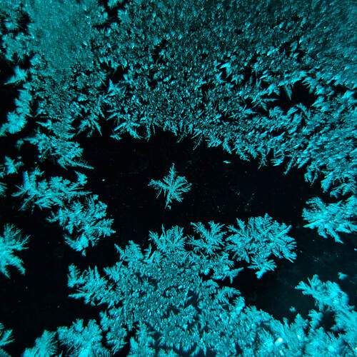 Photo #13009047