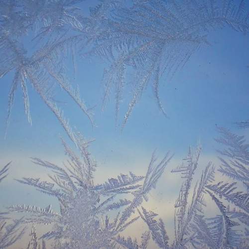 Photo #13009099