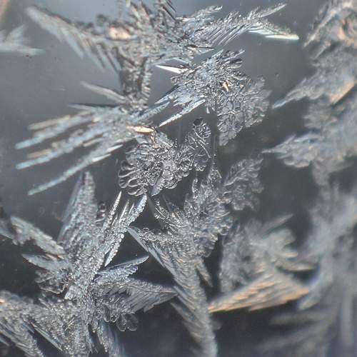 Photo #13009100