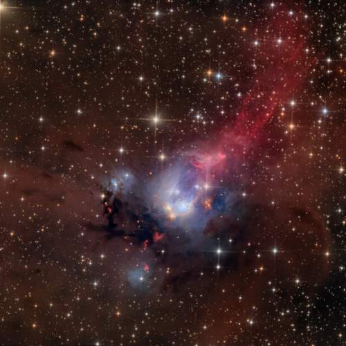 NGC 7129 | The Rose Bud