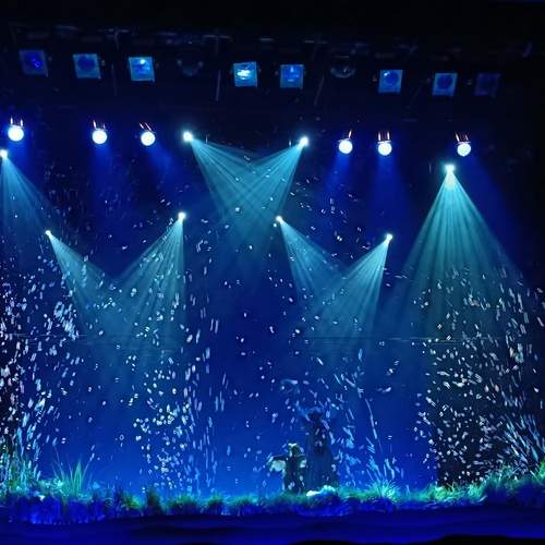 Photo #13009325