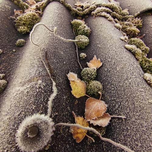 Photo #13009359