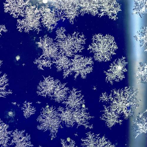 Photo #13009413
