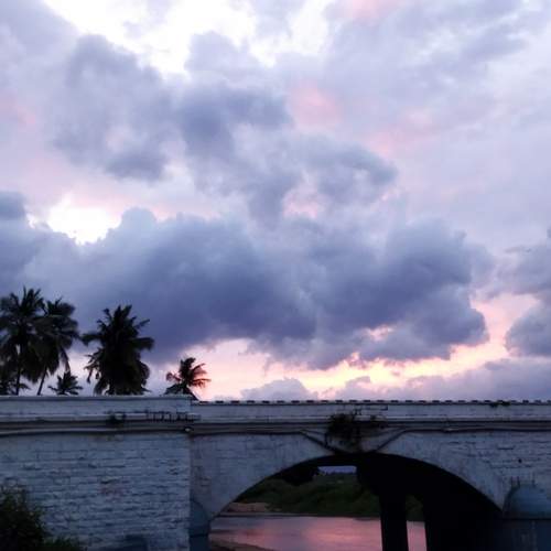 Photo #13009717