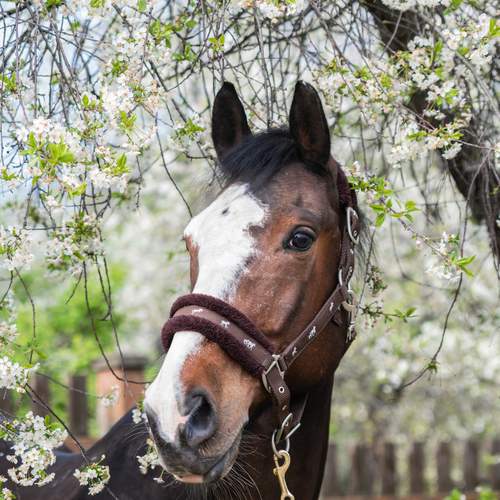 Photo #13009726