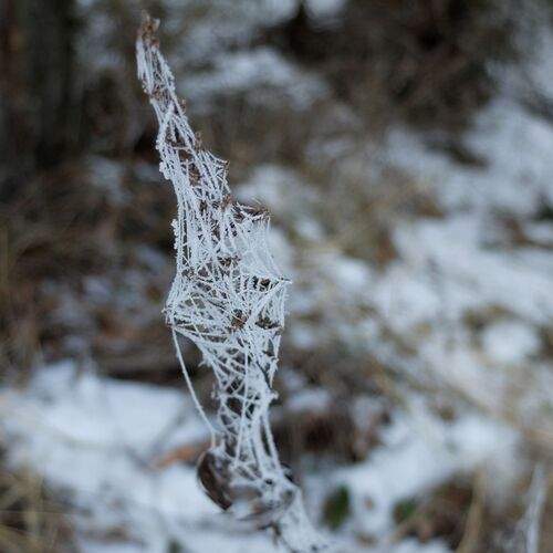 Photo #13009780