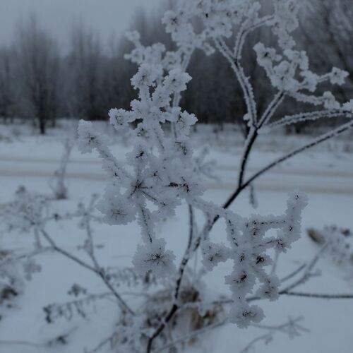 Photo #13009784