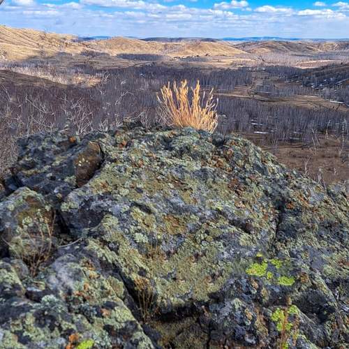 Photo #13009914