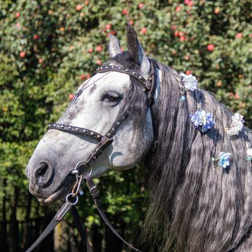 Photo #13009938