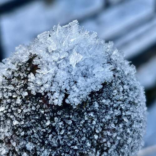 Photo #13009951