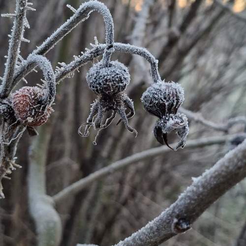 Photo #13010336