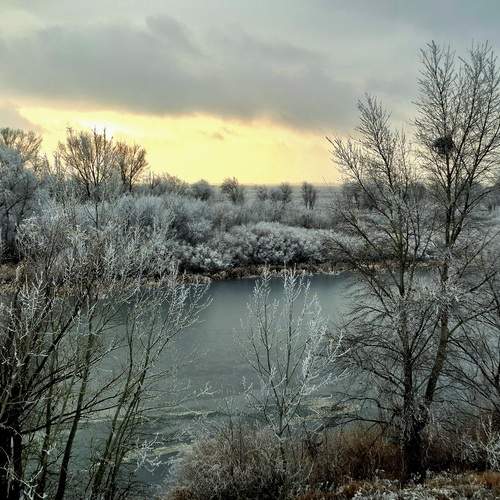 Photo #13010423
