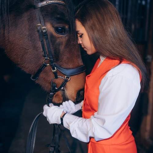 Фотография #13010610