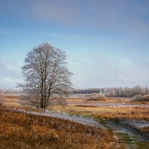 Photo #13010759