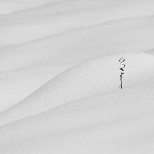 Photo #13010788