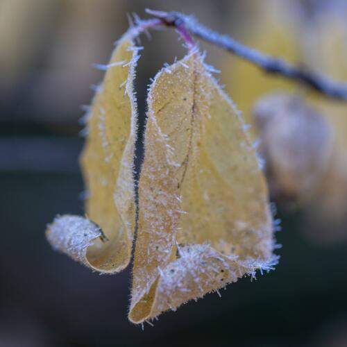 Photo #13010941