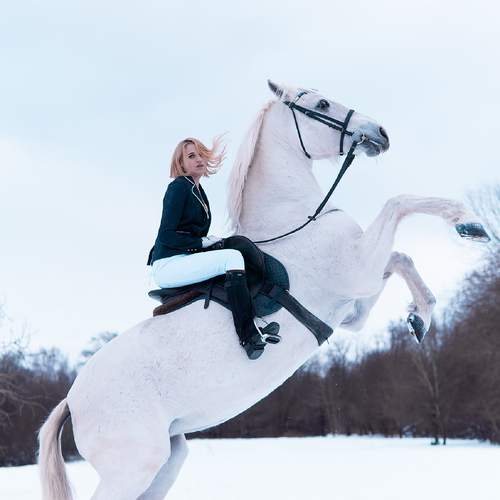 Photo #13011153