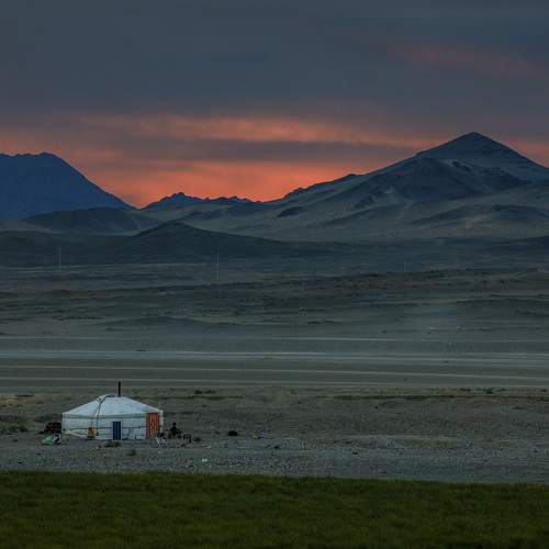Photo #13011183