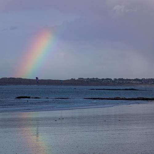 Photo #13011398
