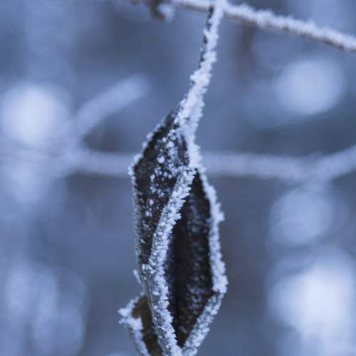 Photo #13011848