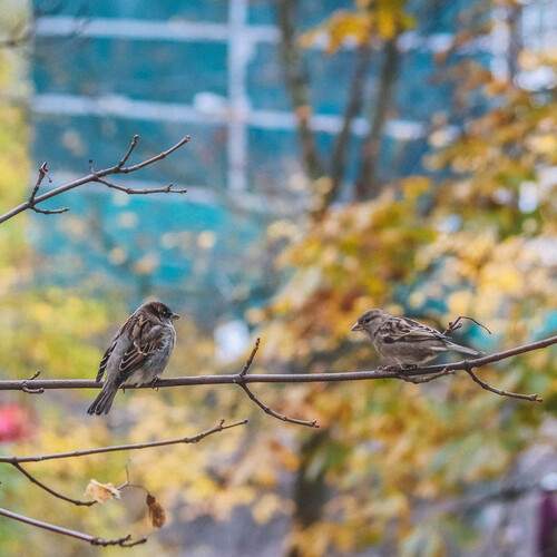 Photo #13011946