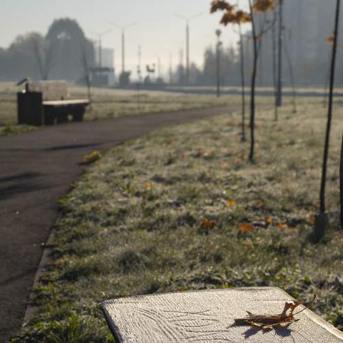 Photo #13012197