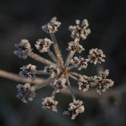 Photo #13012223