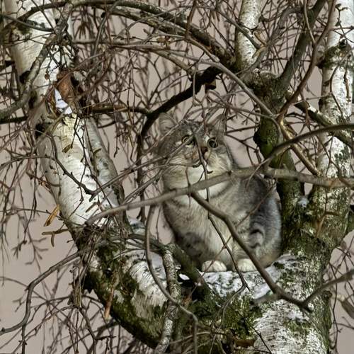 Photo #13012249