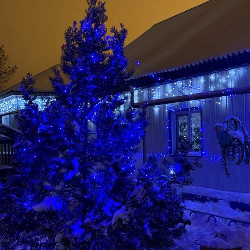 Photo #13012250
