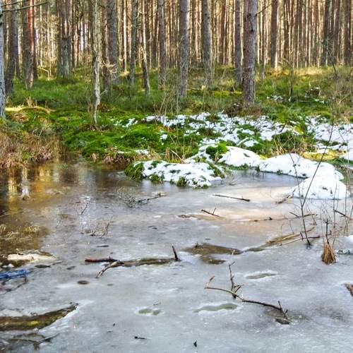 Photo #13012295