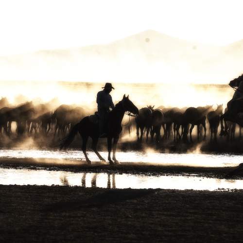 Фотография #13012539