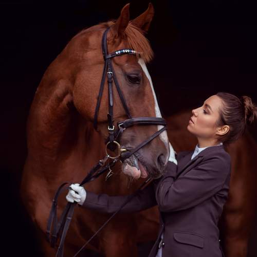 Photo #13012584