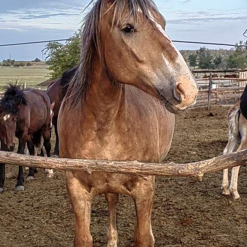 Photo #13012613