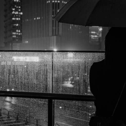 Photo #13012626