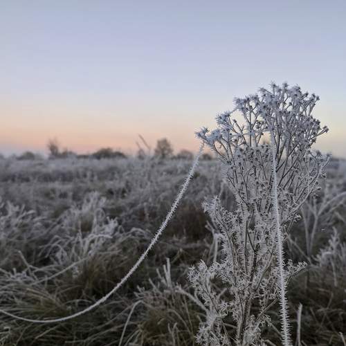 Photo #13012671