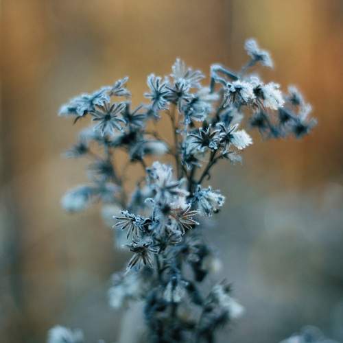 Photo #13012959