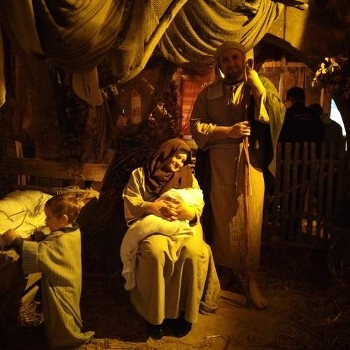 Photo #13013091