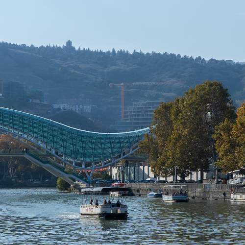 Photo #13013102
