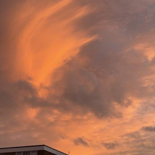 Photo #13013137