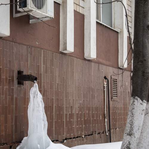 Photo #13013163
